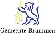 Logo Gminy Brummen