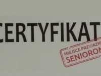 grafika