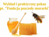 grafika