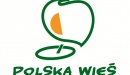 grafika